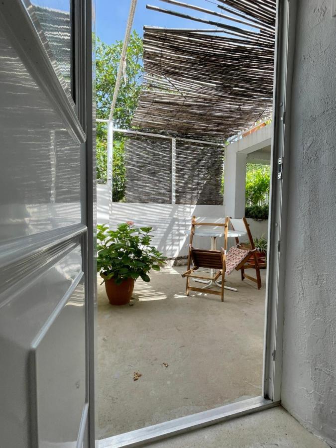 Tree Leilighet Dubrovnik Eksteriør bilde